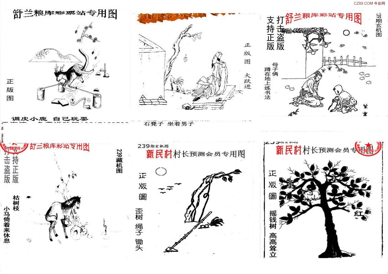 红五3d图库全图天牛图库
