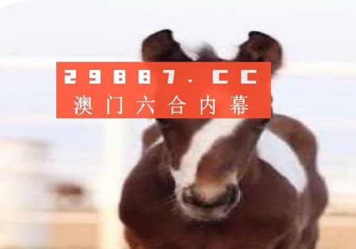 澳门今晚必开一肖—探寻幸运之门的秘密澳门今晚必开一肖一特正规