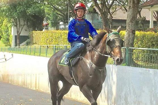 2019香港马会全年资料大全香港2021年马会资料大全