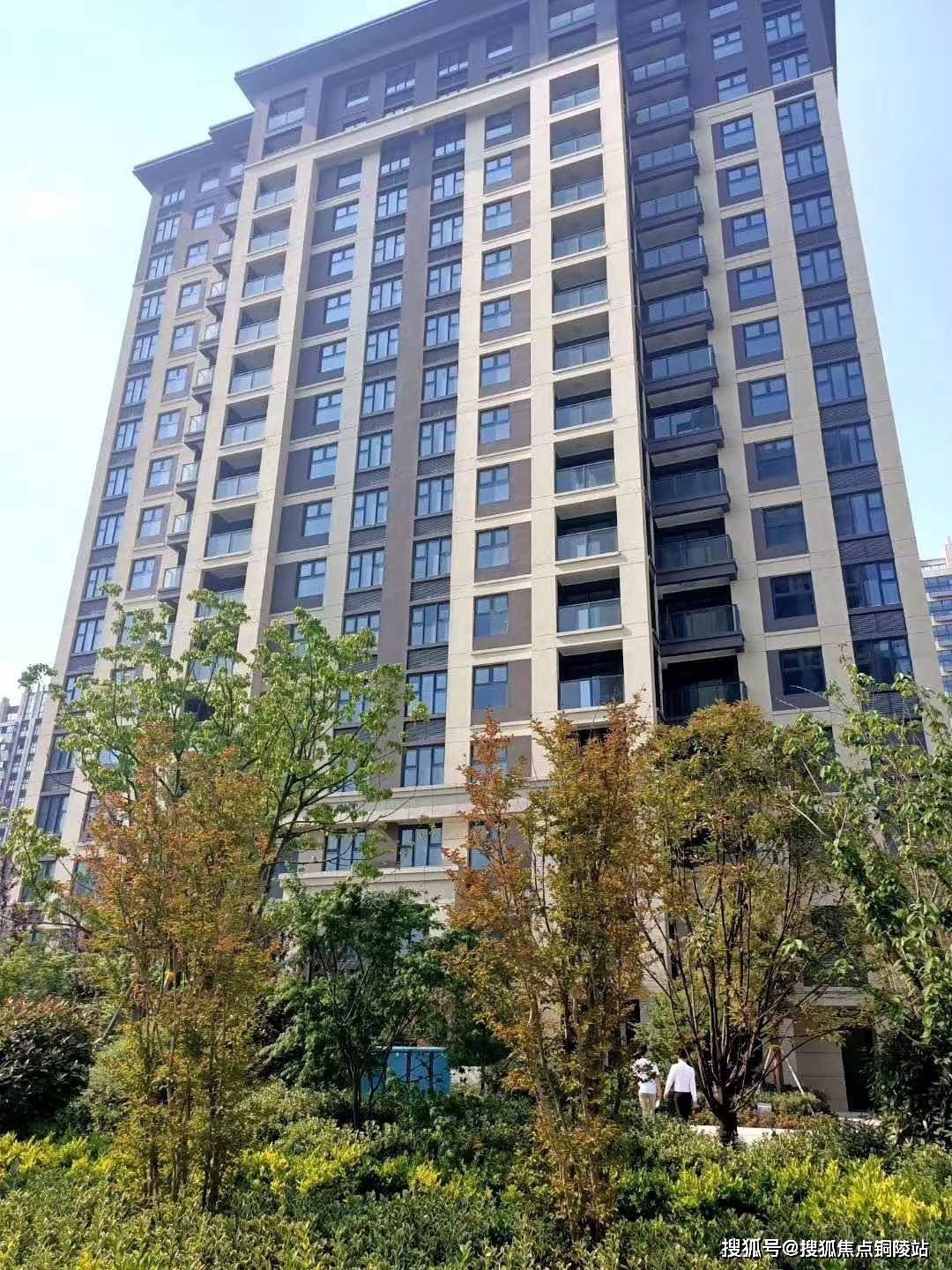 澳门免费资料大全，探索20年来的发展与变迁2023澳门免费资料大全49图库