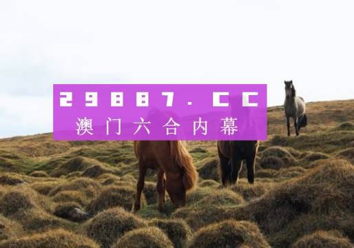 澳门新期开奖结果查询，探索与揭秘新澳门今期开奖结果查询汇总