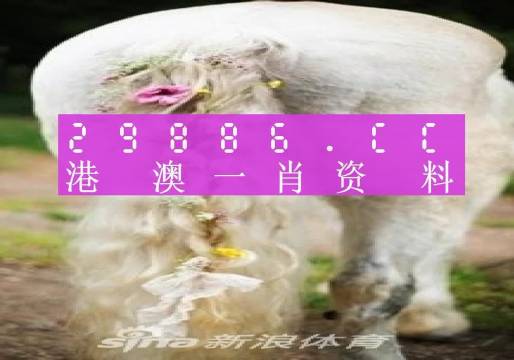 风自来 第10页
