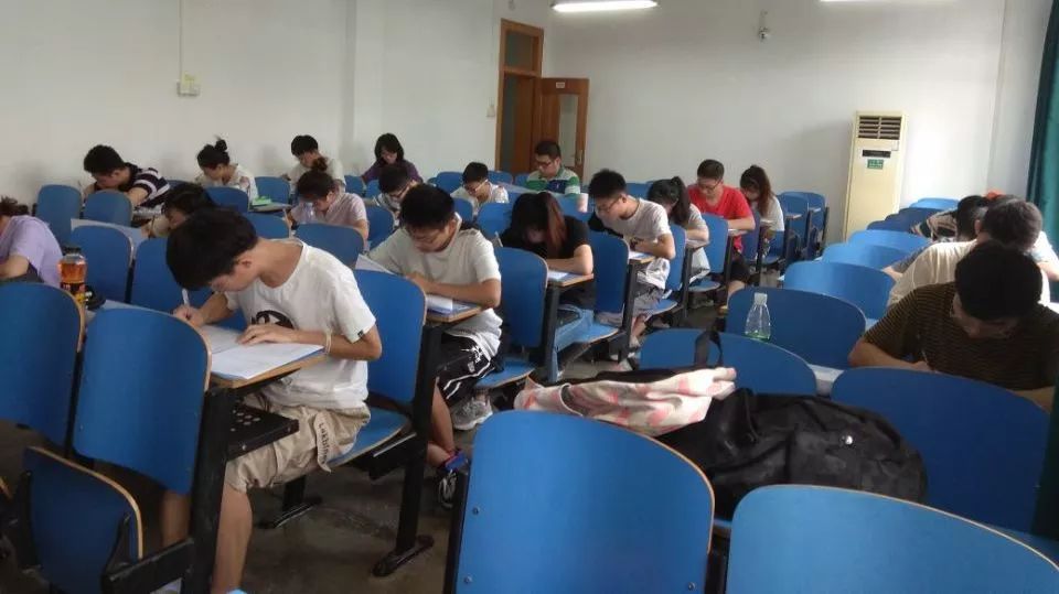 正版马会免费资料大全专业，探索优质资源的无限可能正版马会精选资料大全+新闻