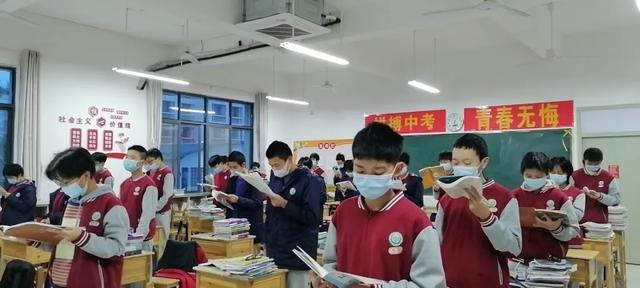 正版二四六免费资料大全，探索知识的宝库正版二四六免费资料精选