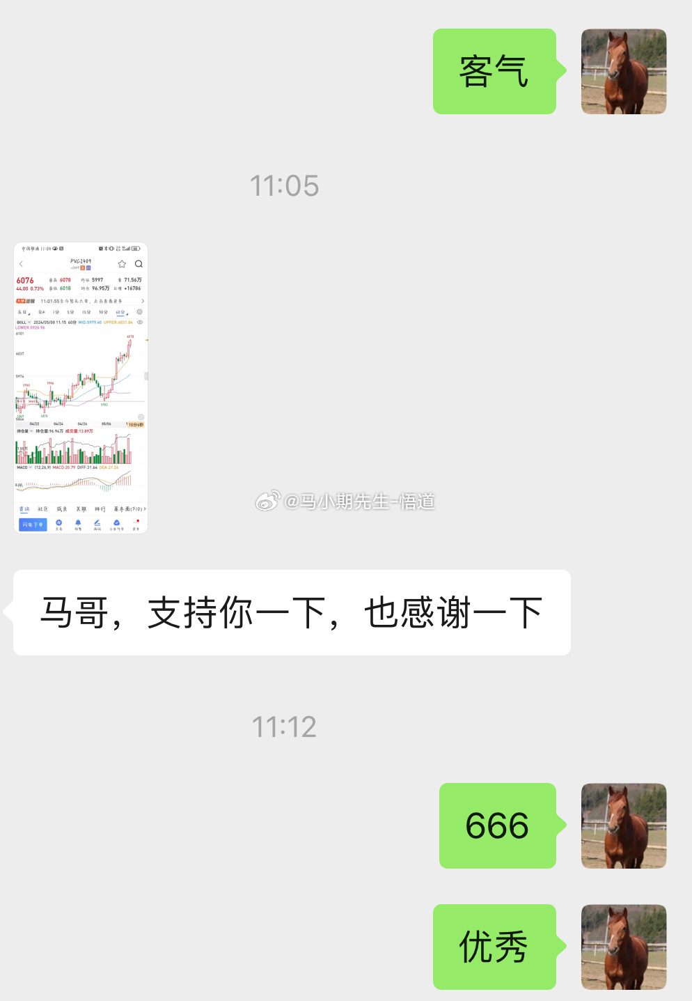 小马哥心水论坛，探索与交流的平台小马哥心水30码论坛
