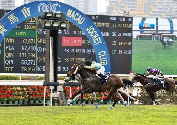 香港赛马资料大全香港马资料大资料大全梅花诗