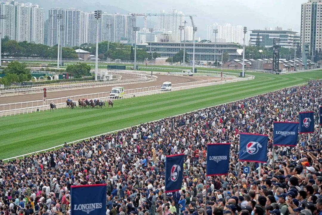 香港正马会资料，历史、宗旨与影响