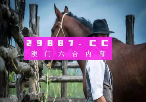 澳门正版资料，探索未来的机遇与挑战2023澳门正版资料免费网站