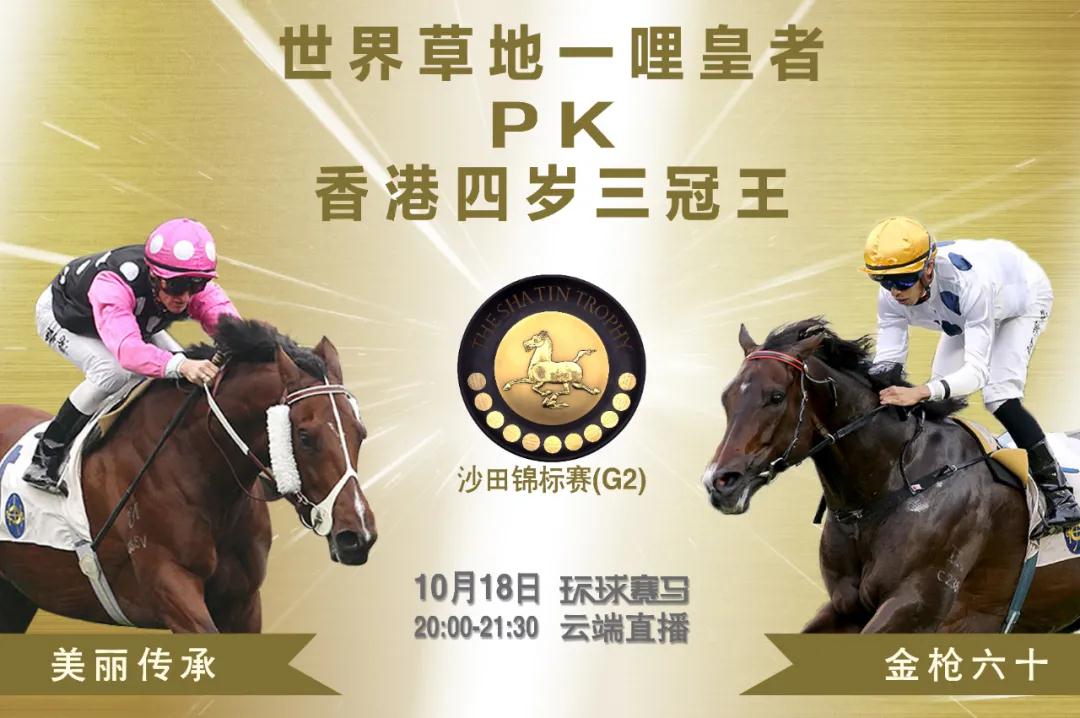 香港赛马文化深度解析—今日特马揭晓时刻香港今天开的什么马