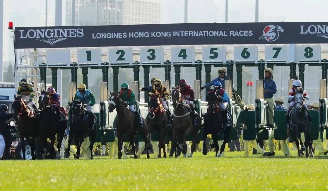 香港马会开启赛事结果直播，引领赛马运动新纪元