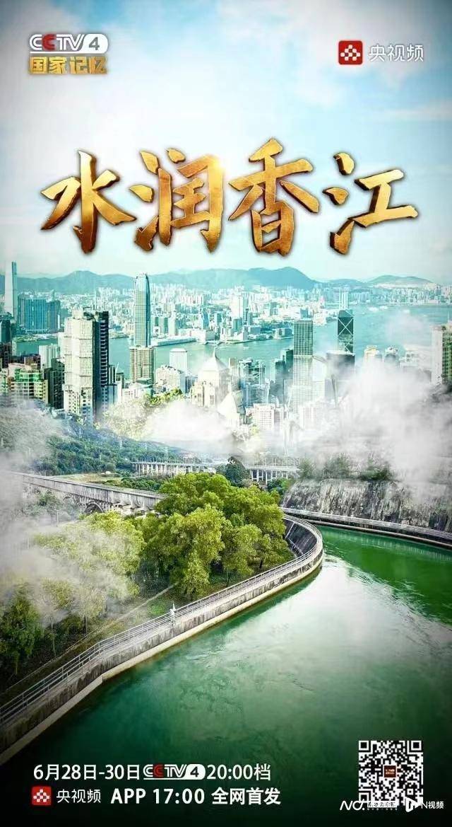 香港今期开奖结果号码，揭秘彩票背后的故事香港今期开奖结果号码查询表香