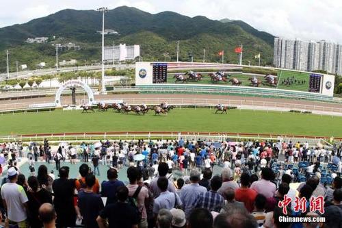 香港马会资料大全，赛马运动的魅力与多元信息解析