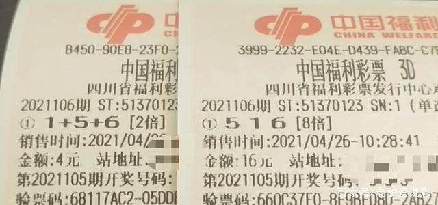 香港今晚开奖记录，探索彩票背后的故事与期待2023香港今晚开奖记录近十五期