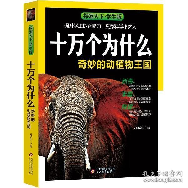 探索神秘世界，揭示62.神奇的四不像图背后的故事与魅力626969四不像图论坛
