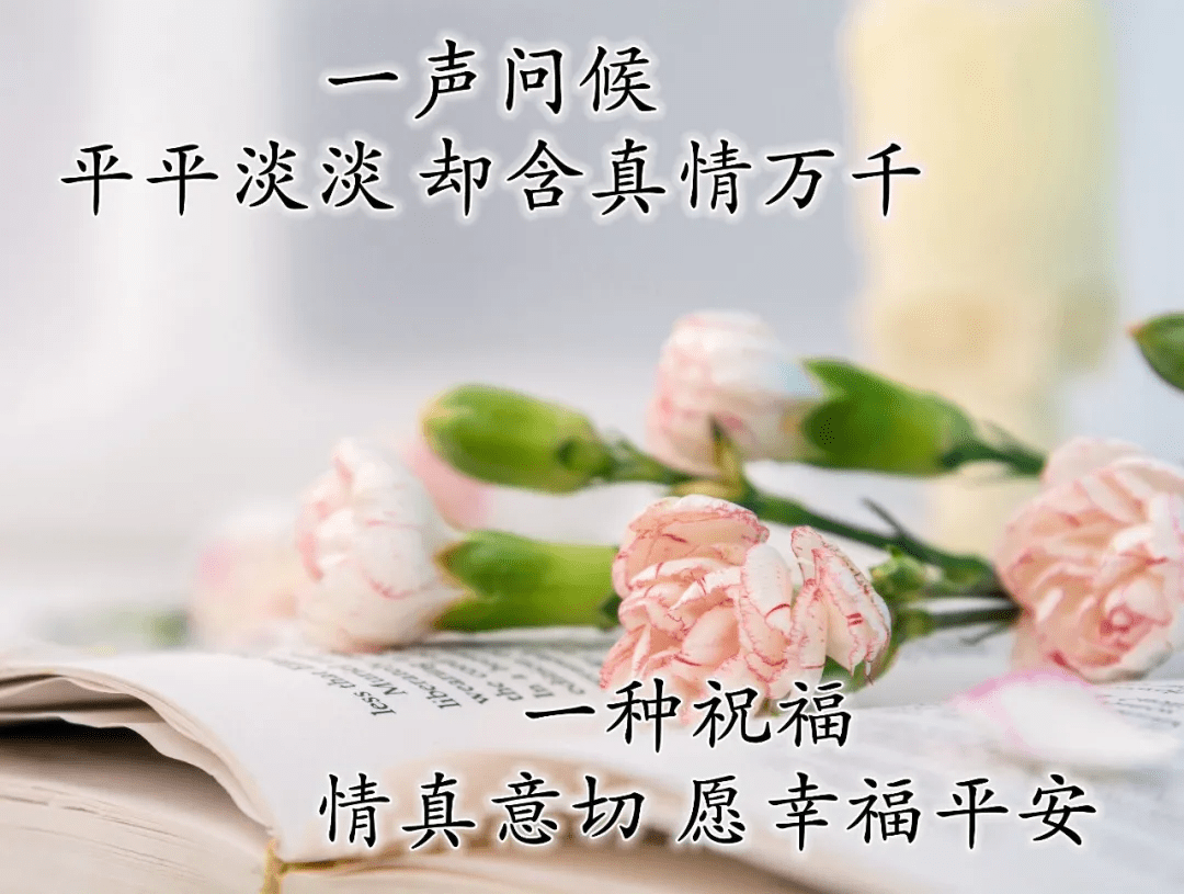 二四六天天好彩图，探索与欣赏
