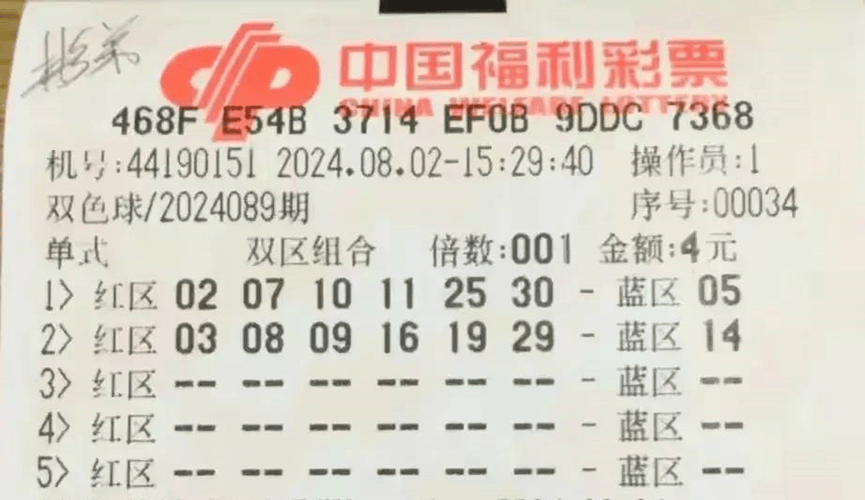 澳门新开奖号码探索，近30期的数字奥秘新澳门近30期开奖号码实地验证