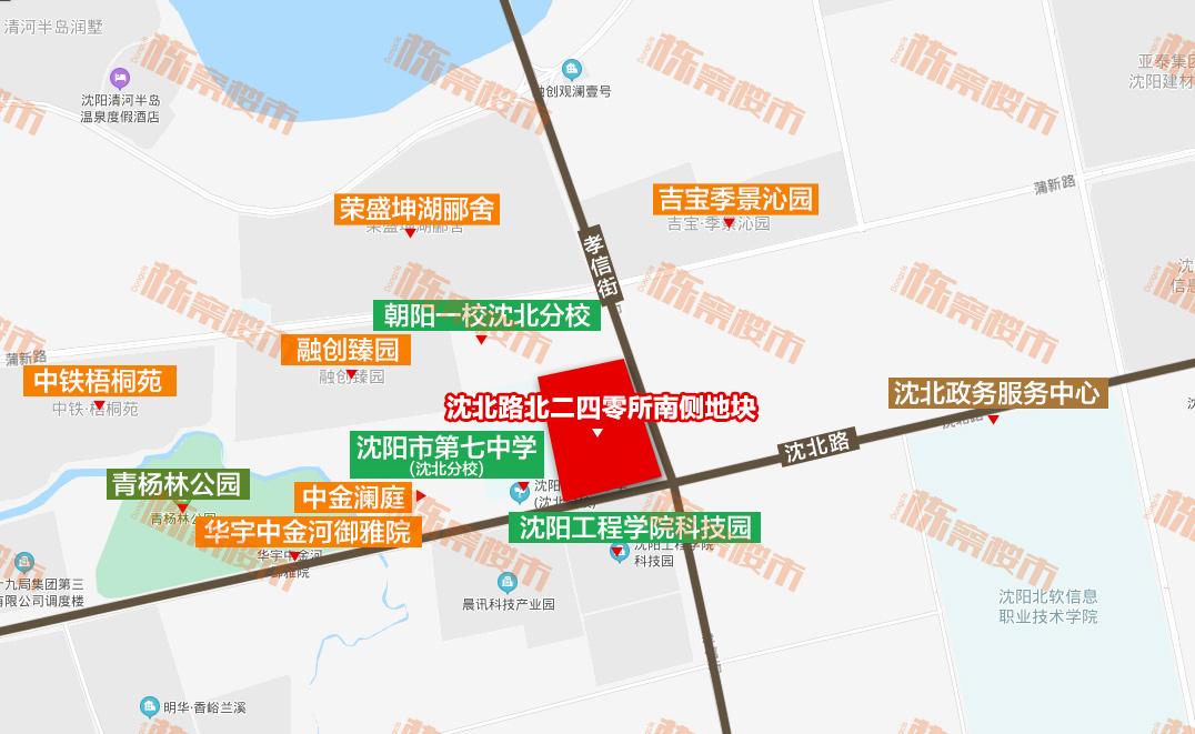 二四天天正版免费资源大，探索与分享二四天天正版资料二四天天正