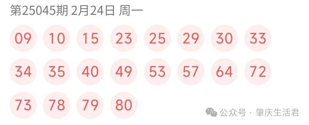 新澳门今晚开奖结果查询，探索彩票背后的故事新澳门今晚开奖结果查询2025年