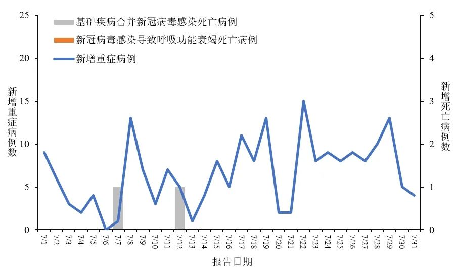 新冠疫情动态及应对，全球的挑战与应对策略新冠冠疫情