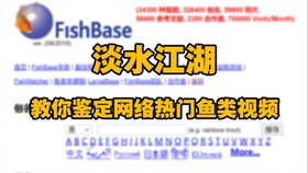 乱人心