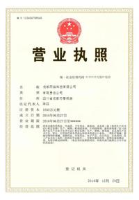 公司注册名字查询网，一站式解决企业命名难题公司注册名字查询网官网入口