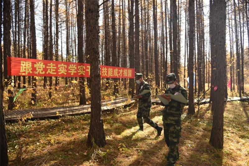 内蒙古人力资源考试信息网，助力人才选拔与职业发展内蒙古省人力资源考试