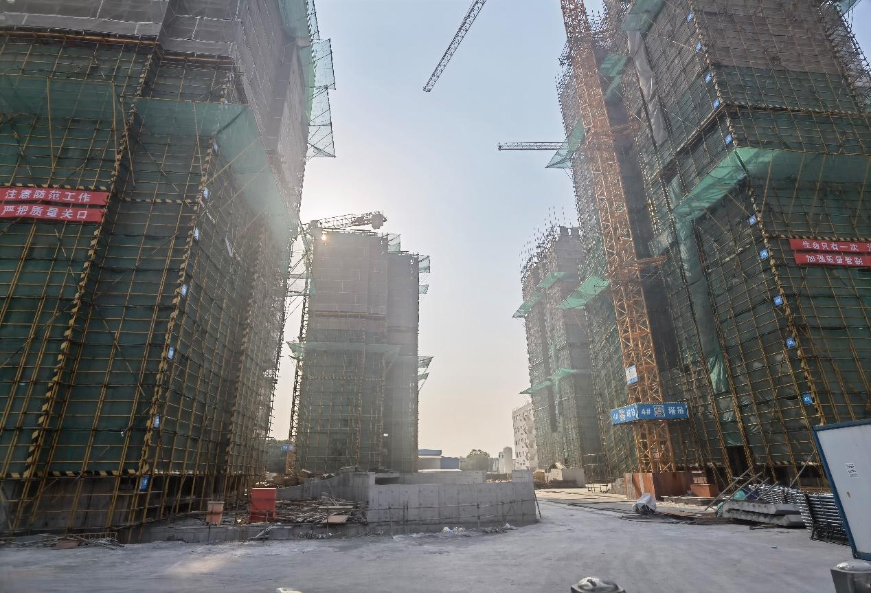 网易校园招聘官网2025