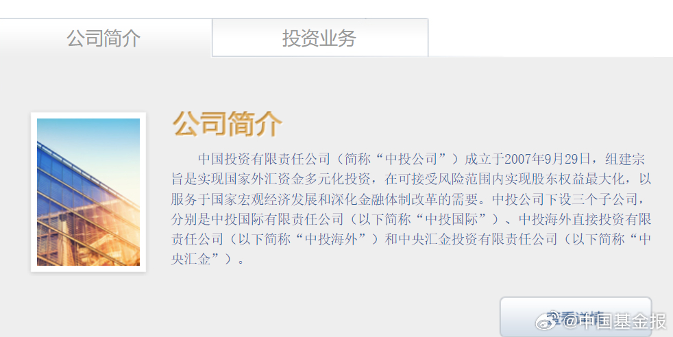 中国投资有限责任公司，引领全球投资的先锋力量中国投资有限责任公司是什么级别