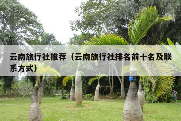 昆明旅行社排名前十名，探寻最佳旅游伙伴昆明旅行社排名前十名有哪些