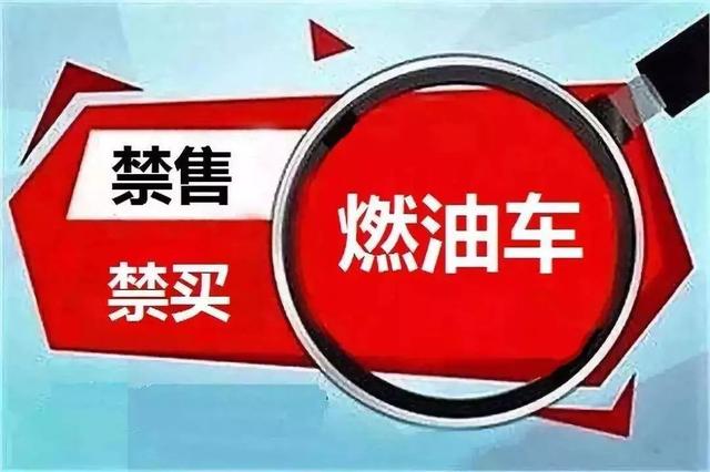 带车求职找工作，开启高效职业新篇章带车求职找工作山东聊城东阿