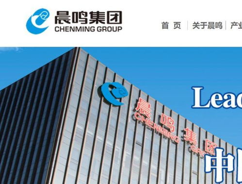 晓鸣股份，引领行业变革，共创未来繁荣晓鸣股份最新消息