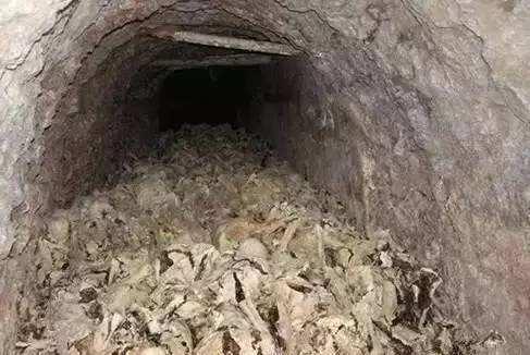 中国石油招聘平台，连接人才与能源巨头的桥梁中国石油招聘平台官网