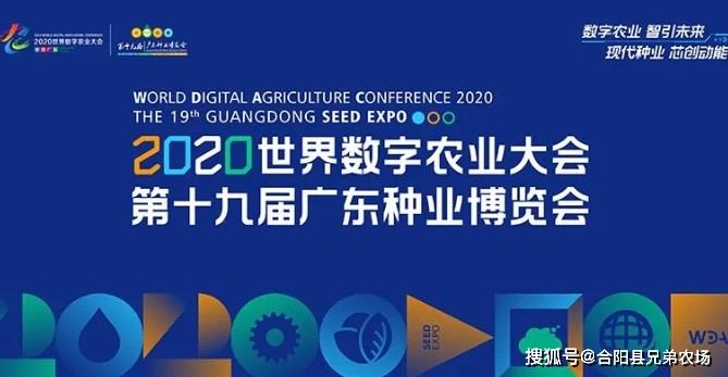 北信源，引领数字时代的先锋力量北信源股吧
