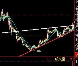三木集团，铸就卓越，引领未来三木集团股票