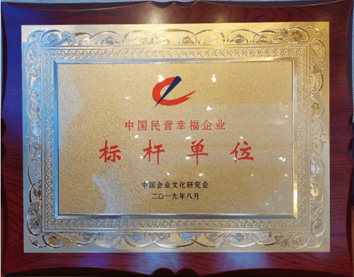 公司发展历程，从无到有，从弱到强的辉煌篇章公司发展历程简介范文