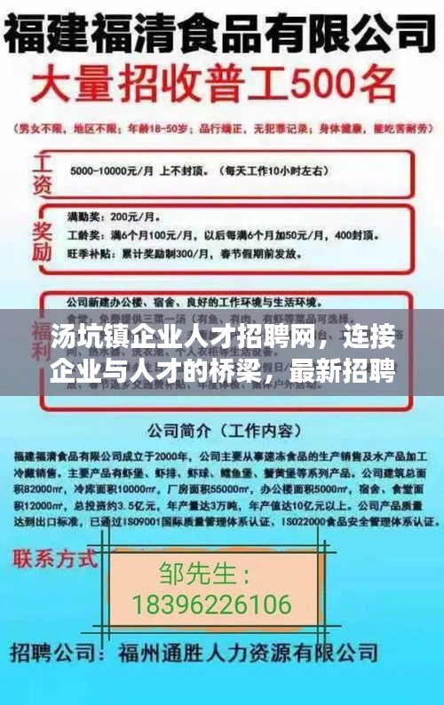 福清市人才招聘信息网—连接企业与人才的桥梁福清人才网招聘网
