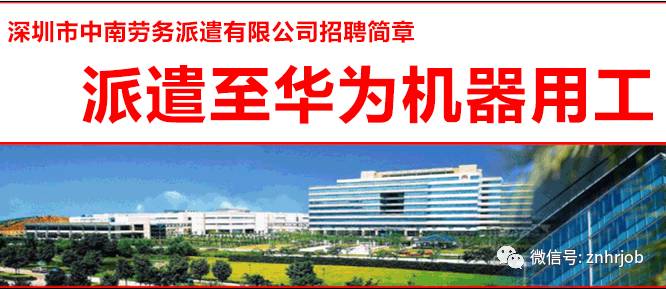 华为公司招聘学历要求，洞悉其背后的标准与趋势华为公司招聘学历要求及专业