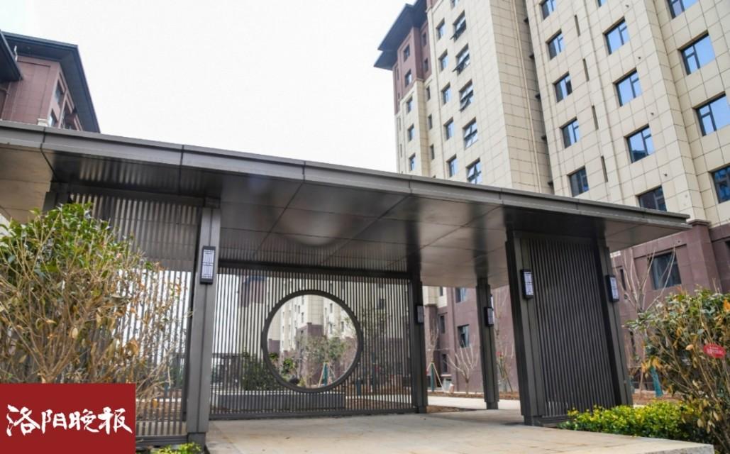 洛阳人才工作网，打造卓越人力资源服务平台洛阳人才工作网官网