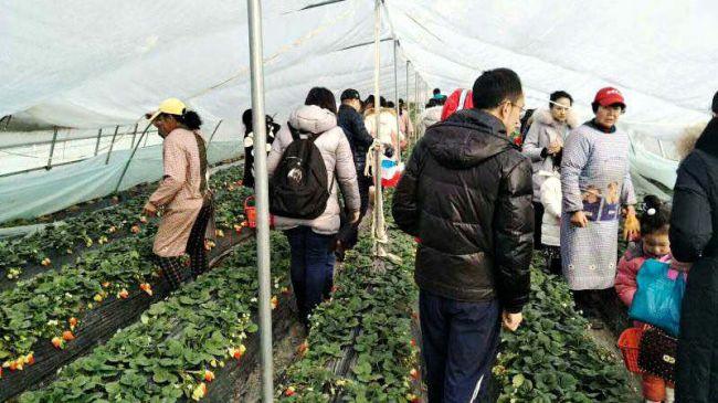 西南人才网，连接企业与人才的桥梁纽带新安人才网合肥招聘信息