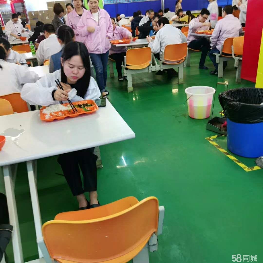 长白班招聘，八小时工作制，双休福利保障漯河长白班招聘八小时双休
