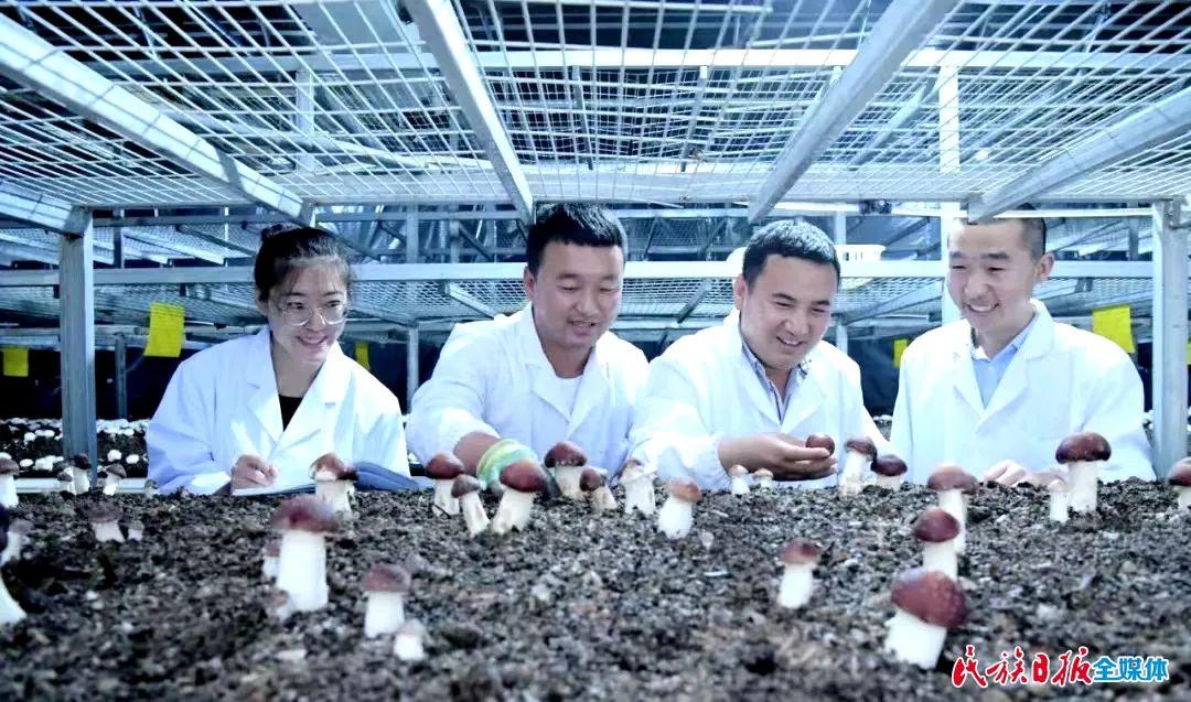 2021中国卫生人才网官网