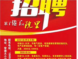 新沂招聘网最新招聘信息概览新沂招聘网最新招聘信息城市论坛
