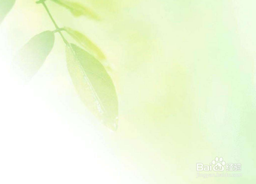 探索自我，一个简短的自我介绍一个简短的自我介绍50字