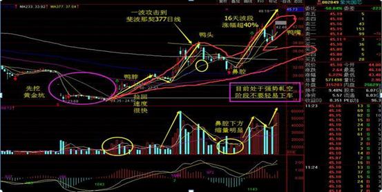 紫光股票最新消息，市场走势与前景展望紫光股票最新消息新闻