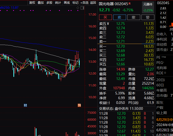 国光电器股票，探索与前景展望国光电器股票股吧