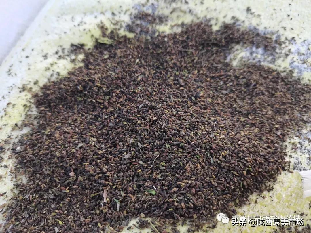 康美药业招聘启事，探寻未来的医疗产业领袖康美药业招聘信息甘肃
