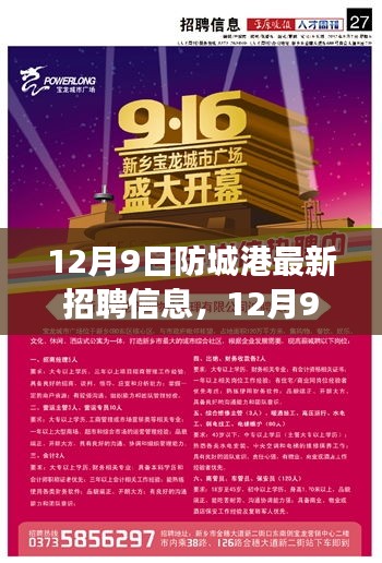 广西防城港人才网官方网站招聘—探寻北部湾的人才盛宴急招大龄工300元一天